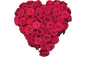 Blommor till begravning Tumba - Beställ blommor till begravning - Fyllt blomsterhjärta röda rosor