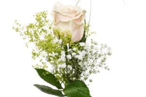 Blommor till begravning Tumba - Kondoleansblommor - handbukett